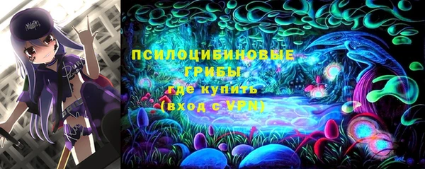 PSILOCYBIN Куйбышев