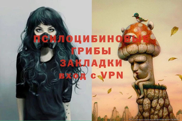 прущая мука Ладушкин