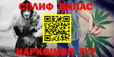 спиды Гай