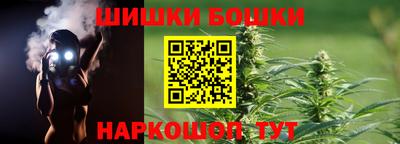 спиды Гай