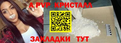 спиды Гай