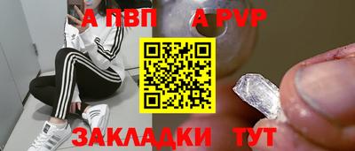 спиды Гай