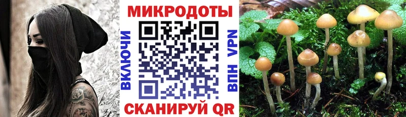 Псилоцибиновые грибы Cubensis  Новочеркасск 
